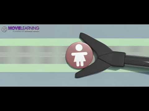 The little Prince - Life plan