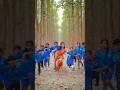 RADHIKA SUNDARI Rakesh Reeyan New Song Adivasi New Song Arjun Lakra New Song Dance Shorts