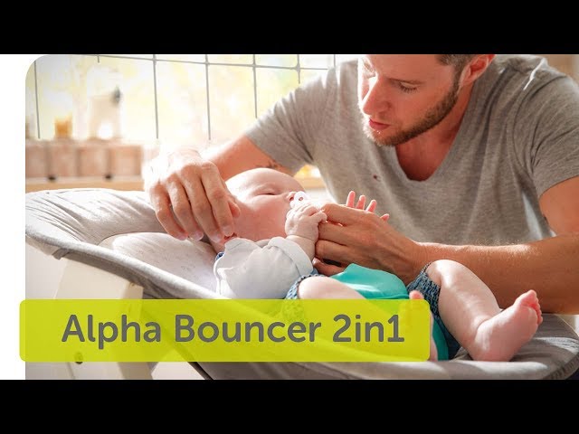 hauck - Alpha Bouncer 2 in 1