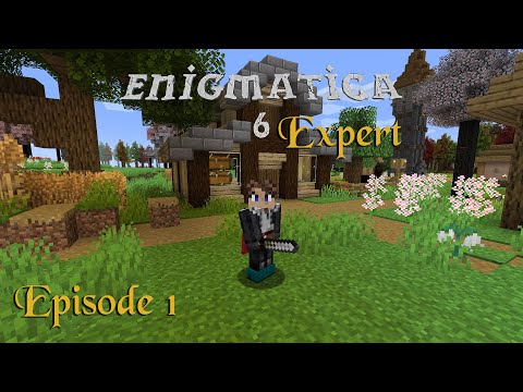 Enigmatica 6 Expert Ep1 | A Whole New World