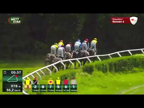 2025 Vente d'Elevage - Lot 142 - STUGARDIA - 2nd - Henkel-Stutenpreis - Listed - Düsseldorf