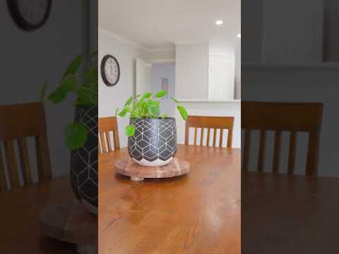 6 Zofia Place, Alfredton, VIC 3350, 4 habitaciones, 2 baños, House