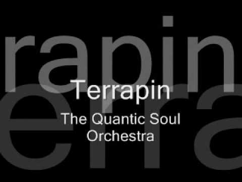 The Quantic Soul Orchestra - Terrapin