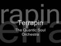 The Quantic Soul Orchestra - Terrapin