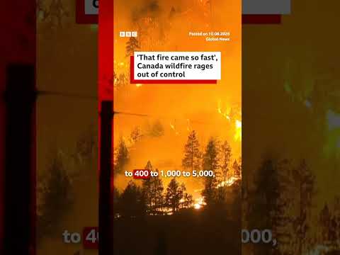 | BBC News
