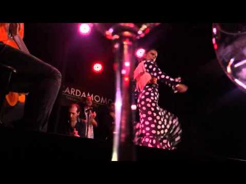 Spanish Flamenco Dancing, Singing and Guitar!