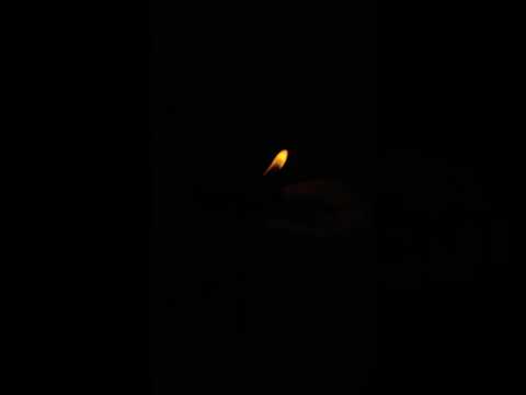 Zippo vs ST DuPont lighter which one do you like? #stdupontlighter #lighter #flame