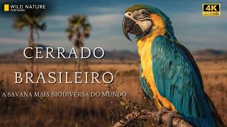 CERRADO BRASILEIRO — Onde a Vida Resiste na Savana Mais Biodiversa do Mundo | Documentário Completo