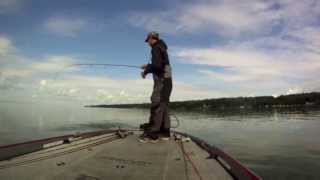 Soft Bait Videos