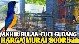 Download lagu MURAI 800Rban ‼️ END OF MONTH WAREHOUSE SALE, SELLING AS CHEAP AS POSSIBLE mp3 Download lagu MURAI 800Rban ‼️ END OF MONTH WAREHOUSE SALE, SELLING AS CHEAP AS POSSIBLE mp3