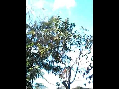 💟💟💟💟💟💟💟💟💟💟💟💟💟💟💟💟💟💟💟💟💟💟💟💟💟💟