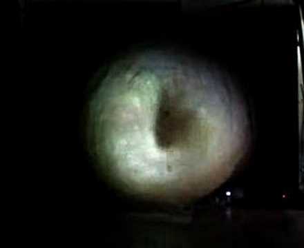 nombril navel damien valero