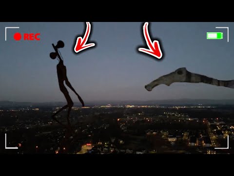 DRONE CATCHES SIREN HEAD AND LONG HORSE ON CAMERA!! Real life Siren Head and Long Horse!!