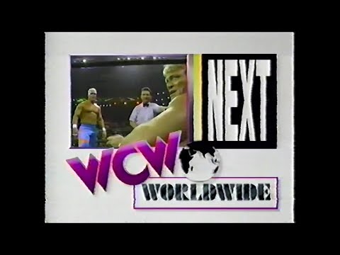 Sting vs Paul Orndorff   Worldwide Aug 12th, 1995