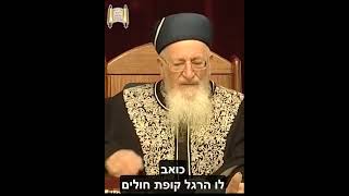 אל תחכה לפנסיה... - מרן הרב מרדכי אליהו #duet #עבודה #אהבה (הרב מרדכי אליהו זצ"ל) - התמונה מוצגת ישירות מתוך אתר האינטרנט יוטיוב. זכויות היוצרים בתמונה שייכות ליוצרה. קישור קרדיט למקור התוכן נמצא בתוך דף הסרטון