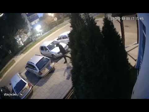 Bandyta, hejter, chory, zazdrosny? ul.Rumiankowa 17, 11.10.2021 godz.18.15 poszukiwany przez policję