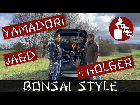 Yamadori Jagd mit Holger | Birke (Betula) und Rotbuche (Fagus sylvatica) | #055 Bonsai Style
