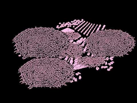 Taijin x Αντίδοτο x 3πδ - Κατατονία