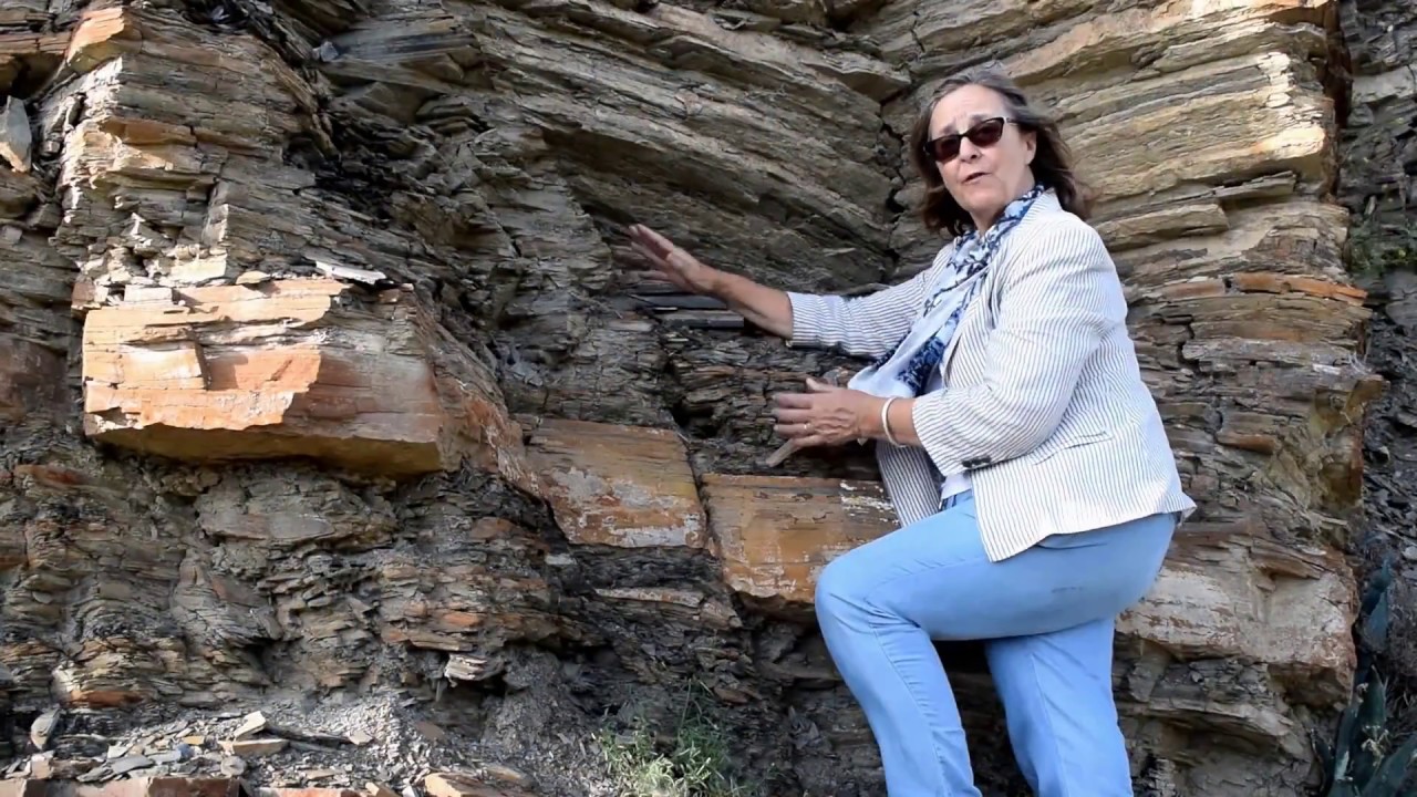 FALLAS GEOLOGICAS. Tipos de Fallas