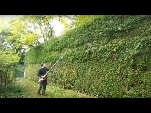 Einkürzung Thuja Hecke mit Husqvarna Stabheckenschere