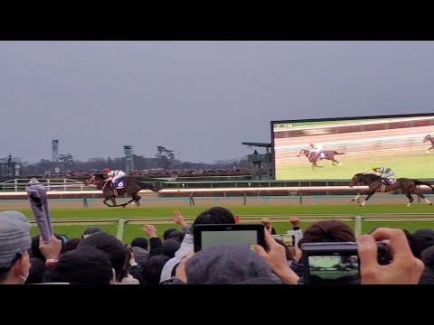 現役最強の証明 リスグラシュー 2019.12.22 有馬記念 中山競馬場