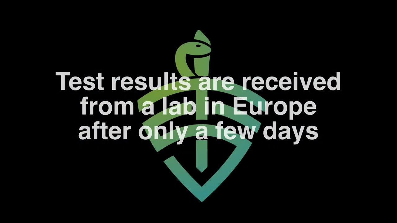 Mould removal video 3