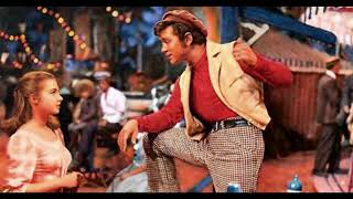 Chad And Jeremy    IF I LOVED YOU