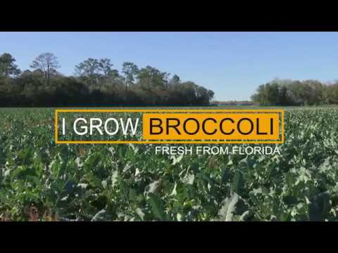 , title : 'I Grow: Broccoli'