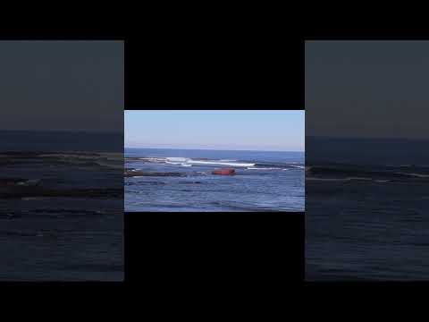 Kitty Miller Bay Victoria #beach #melbournebeach #nature