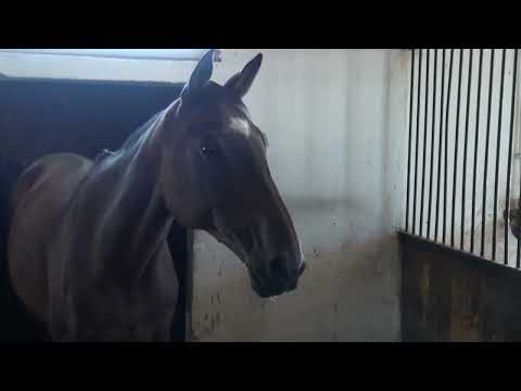 QR4ALL - Comuna Voinești, județul Iași