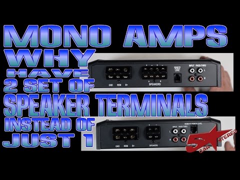 Why does my Mono Subwoofer amp have 2 sets of speaker terminals