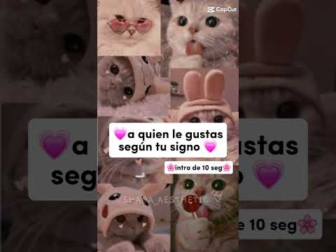 suscribanse al canal.💕 #gatos #humor