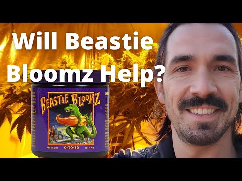 Fox Farm Beastie Bloomz