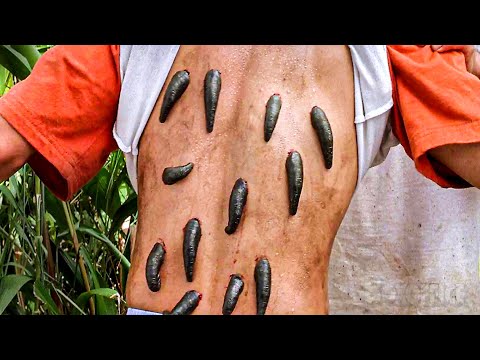 Leeches suck him dry | Anacondas: The Hunt for the Blood Orchid | CLIP