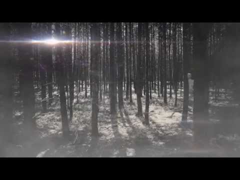 Skelett im Wald gesehen, Horror