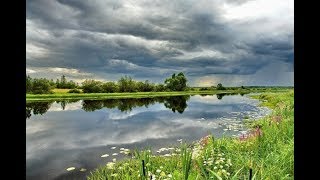 Можно ли ловить на вершу в ярославской области