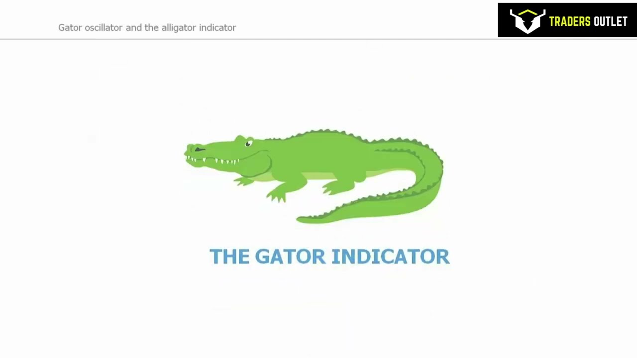 The Gator Oscillator Indicator: What is it and How to Use It in Trading