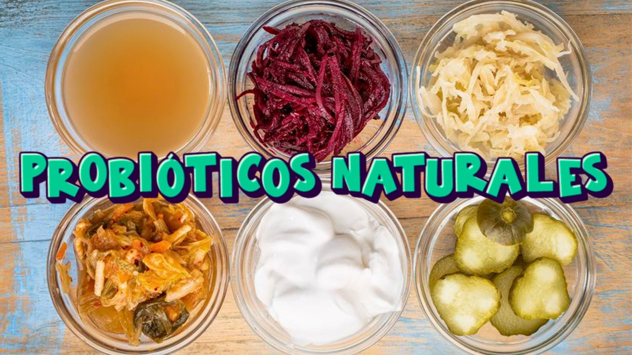 6 alimentos con probióticos naturales | Regenera y mejora la Flora intestinal