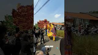 Download lagu Burok #burok #arakarakan #shorts #shortvideo #fypシ゚viral mp3