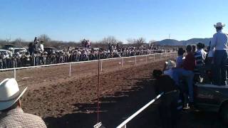 preview picture of video 'Satevó El robin vs Golden (caballo vs perro) (dog vs horse) (corto)'