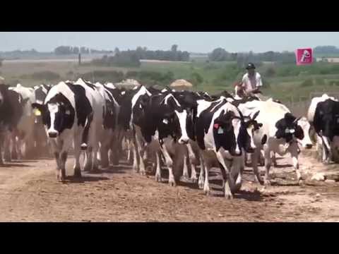 Inia TV - La Estanzuela 2 (HD)