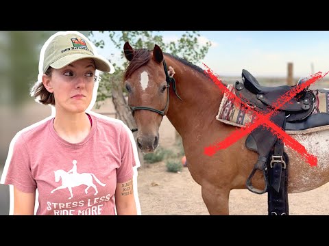 How To Tack Up A Horse Western