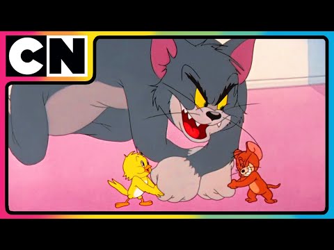 Tom and Jerry 🐭🐈| Watch Non-Stop Chaos 😍| Cartoon Animation Video 😆| @cnindia