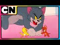 Tom And Jerry Watch Non Stop Chaos Cartoon Animation Video Cnindia