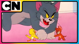 Download lagu Tom and Jerry 🐭🐈| Watch Non-Stop Chaos 😍| Cartoon Animation Video 😆| @cnindia mp3
