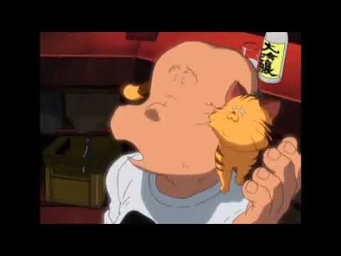 Captain Herlock komplette Anime M