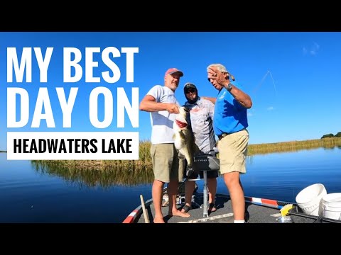 My biggest 5 fish stringer ever at Headwaters lake