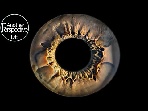 Wie DU das perfekte Iris Foto selber machen kannst 📸 Augen Fotografie mit der a6300