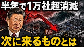 日本への影響は？中国経済崩壊寸前 過剰生産の津波がEV太陽光電池を直撃