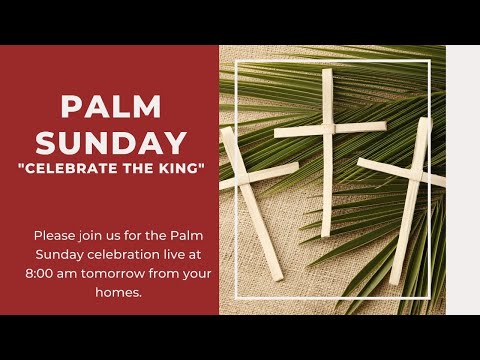 Palm Sunday  mass at Sacred Heart Church, Andheri  - 5th April 2020 at 08:00 AM